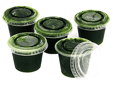 Shots de Wheatgrass
