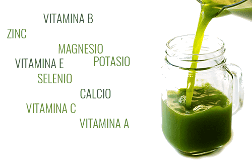 Nutrientes Wheatgrass